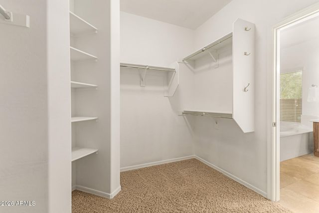 1828 W BLACK HILL Road, Phoenix, AZ 85085