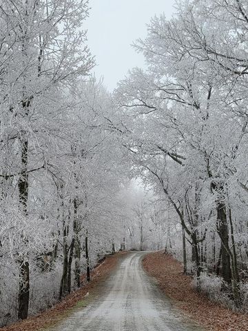 729 Wilderness Creek Way, Murphy, NC 28906