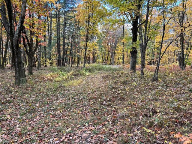 3 West Hill Rd., Austerlitz, NY 12017