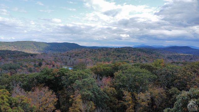 3 West Hill Rd., Austerlitz, NY 12017