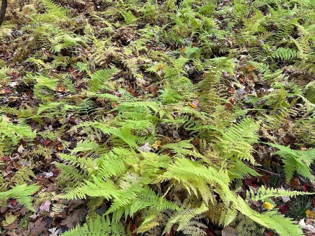 3 West Hill Rd., Austerlitz, NY 12017