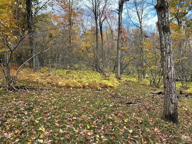 3 West Hill Rd., Austerlitz, NY 12017