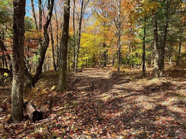 3 West Hill Rd., Austerlitz, NY 12017