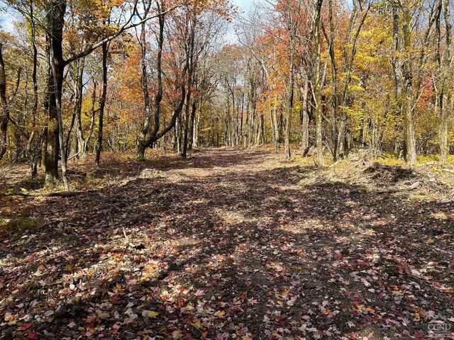 3 West Hill Rd., Austerlitz, NY 12017