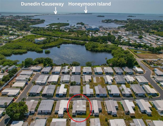 3301 ALT 19 611, Palm Harbor, FL 34683