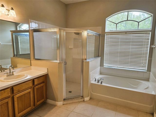 21144 TYRELL WAY, Land O Lakes, FL 34638
