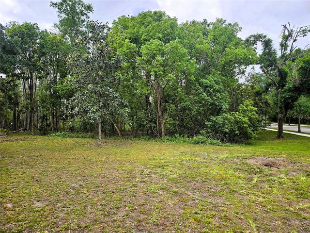 21144 TYRELL WAY, Land O Lakes, FL 34638