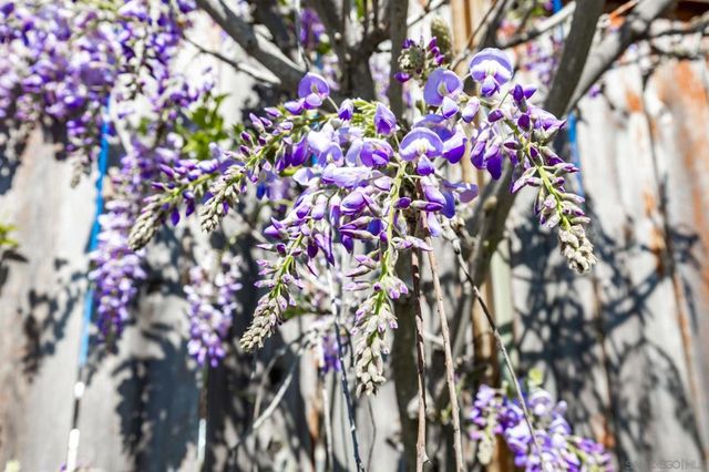 5177 Loma Verde, Oceanside, CA 92056