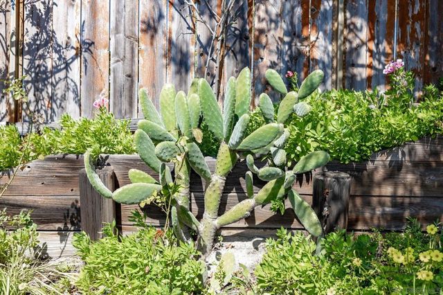 5177 Loma Verde, Oceanside, CA 92056