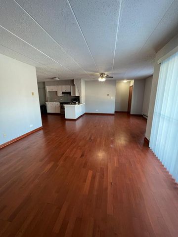 669 N Briar Hill Lane 3, Addison, IL 60101