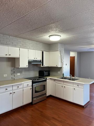 669 N Briar Hill Lane 3, Addison, IL 60101