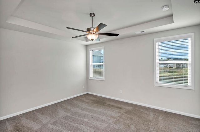 419 Dolomite Court, Chapin, SC 29036