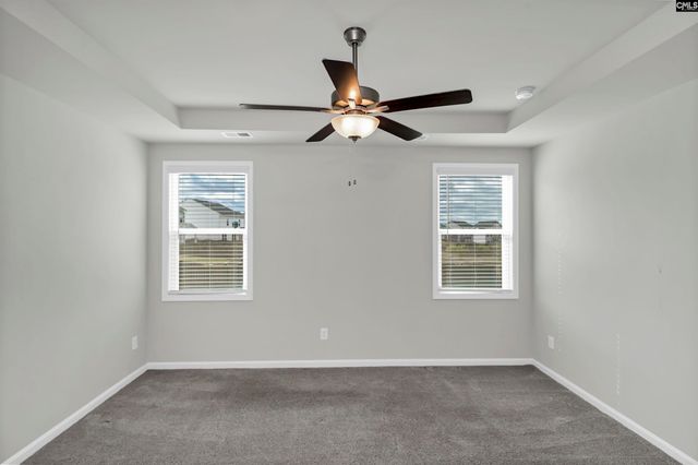 419 Dolomite Court, Chapin, SC 29036