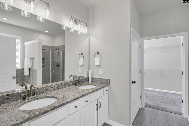 419 Dolomite Court, Chapin, SC 29036