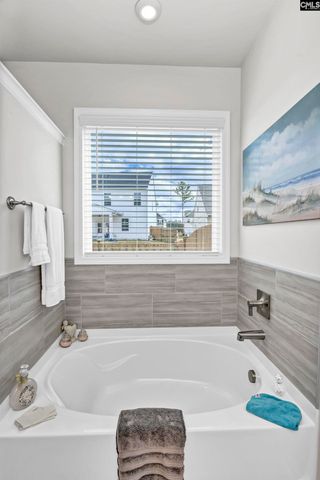 419 Dolomite Court, Chapin, SC 29036