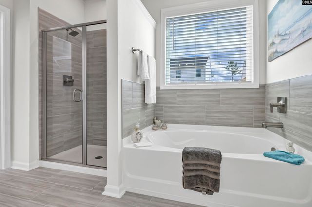 419 Dolomite Court, Chapin, SC 29036