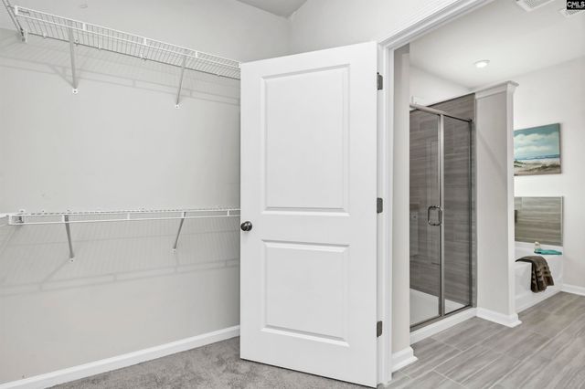 419 Dolomite Court, Chapin, SC 29036