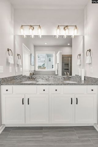 419 Dolomite Court, Chapin, SC 29036