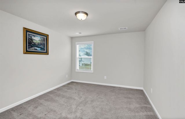 419 Dolomite Court, Chapin, SC 29036