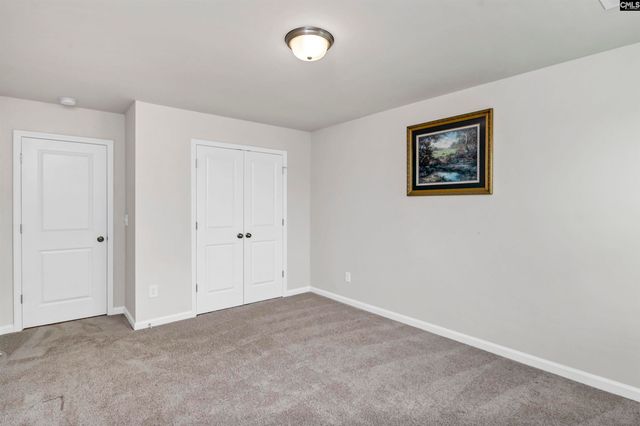 419 Dolomite Court, Chapin, SC 29036