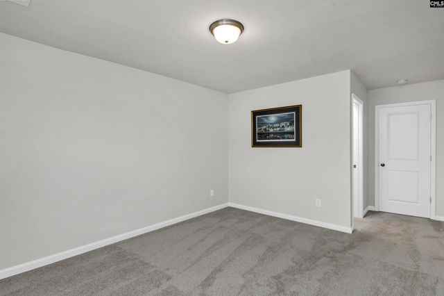 419 Dolomite Court, Chapin, SC 29036