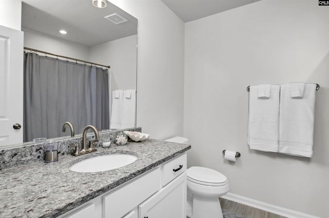 419 Dolomite Court, Chapin, SC 29036