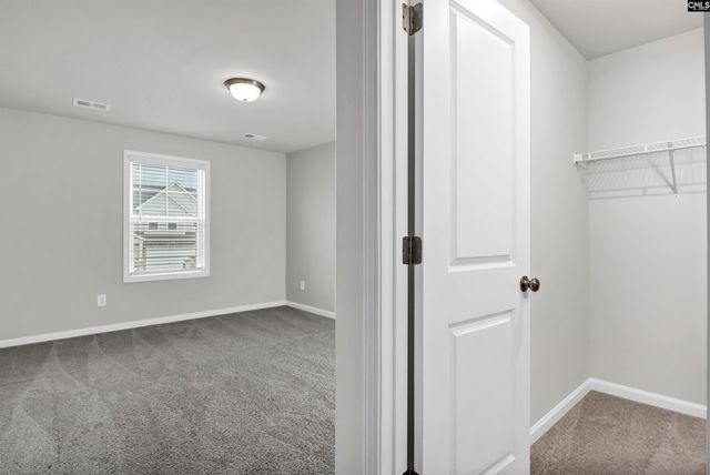 419 Dolomite Court, Chapin, SC 29036