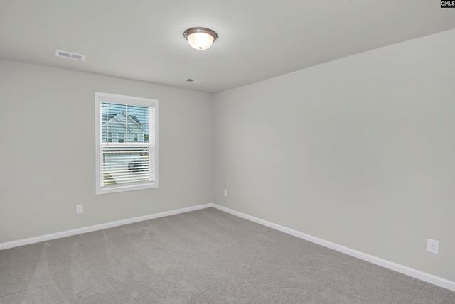 419 Dolomite Court, Chapin, SC 29036