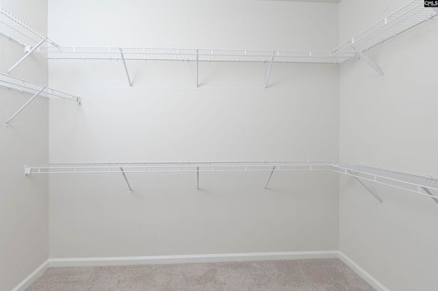 419 Dolomite Court, Chapin, SC 29036