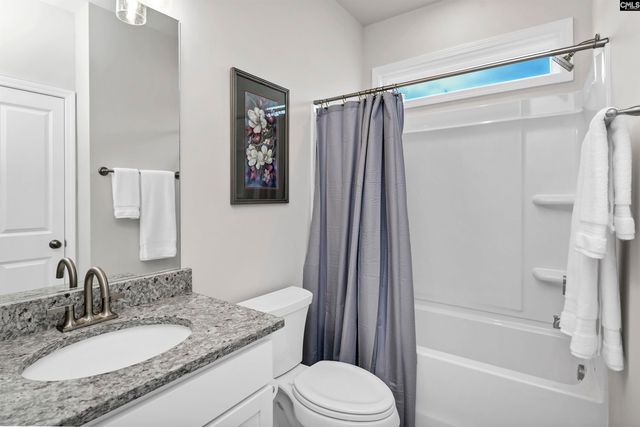 419 Dolomite Court, Chapin, SC 29036