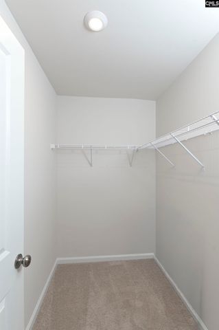 419 Dolomite Court, Chapin, SC 29036