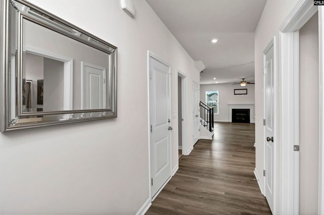 419 Dolomite Court, Chapin, SC 29036