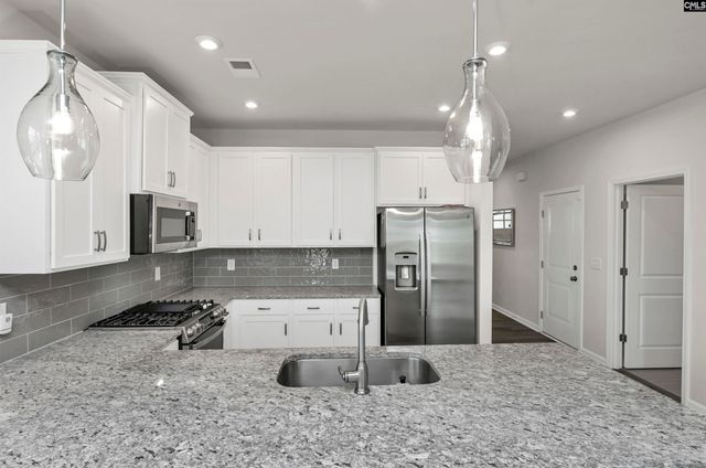 419 Dolomite Court, Chapin, SC 29036