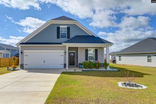 419 Dolomite Court, Chapin, SC 29036