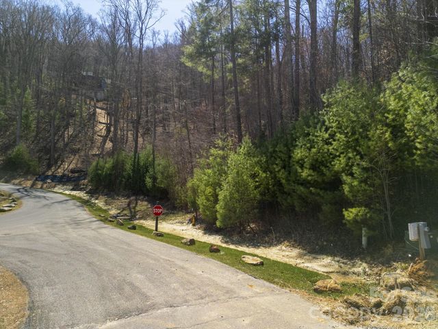 48 Longspur Lane 58, Asheville, NC 28804