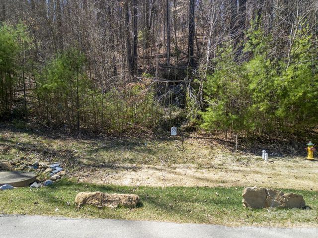 48 Longspur Lane 58, Asheville, NC 28804