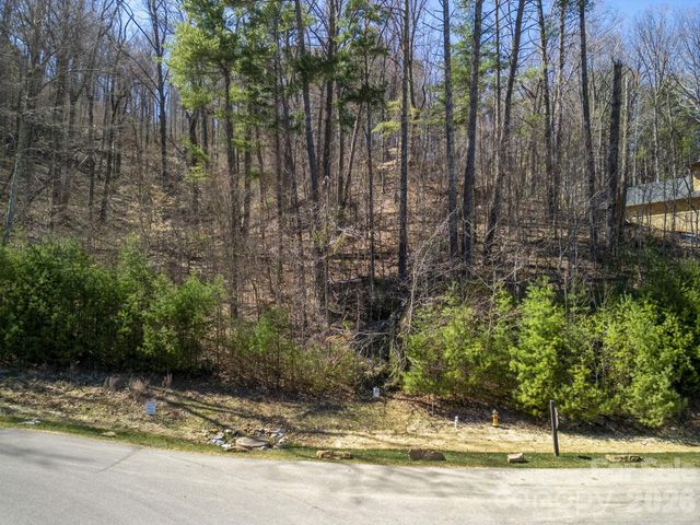 48 Longspur Lane 58, Asheville, NC 28804