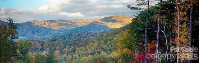 48 Longspur Lane 58, Asheville, NC 28804