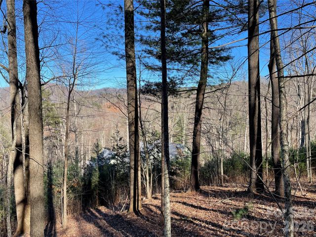48 Longspur Lane 58, Asheville, NC 28804