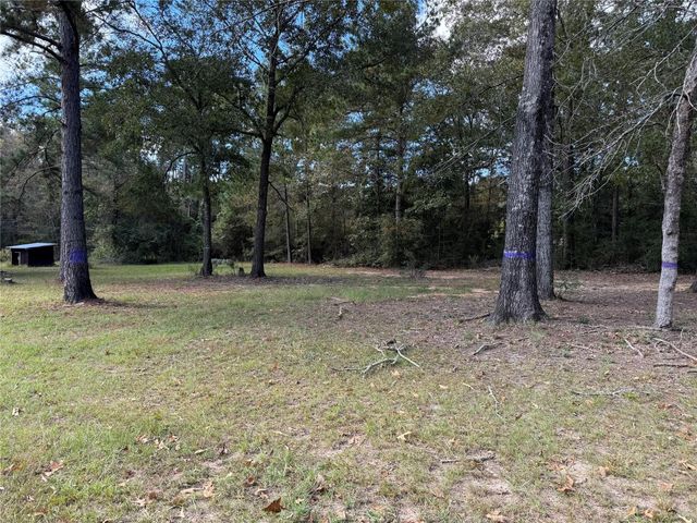 645 Deer Park Drive, Brookeland, TX 75931