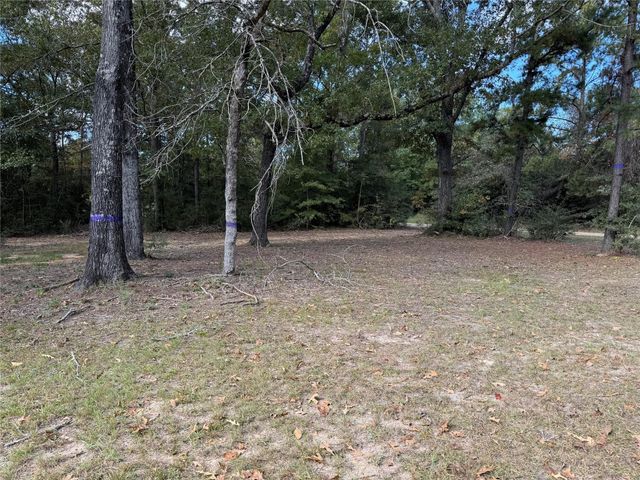 645 Deer Park Drive, Brookeland, TX 75931