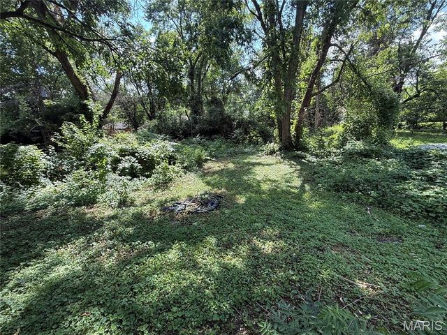 10357 Prince Drive, St Louis, MO 63136