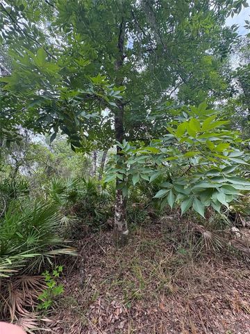0 MILLSTREAM DRIVE, Groveland, FL 34736
