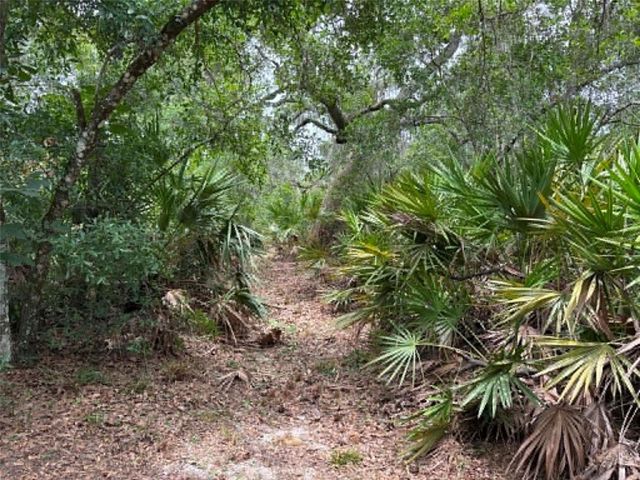 0 MILLSTREAM DRIVE, Groveland, FL 34736