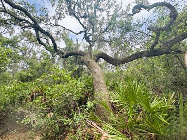 0 MILLSTREAM DRIVE, Groveland, FL 34736
