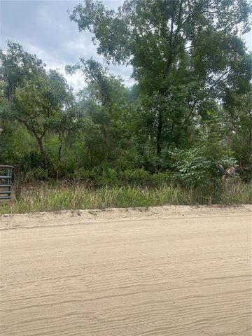 0 MILLSTREAM DRIVE, Groveland, FL 34736