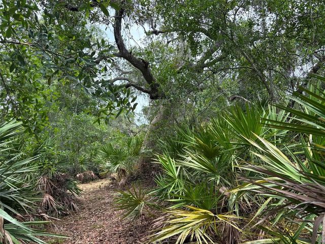 0 MILLSTREAM DRIVE, Groveland, FL 34736