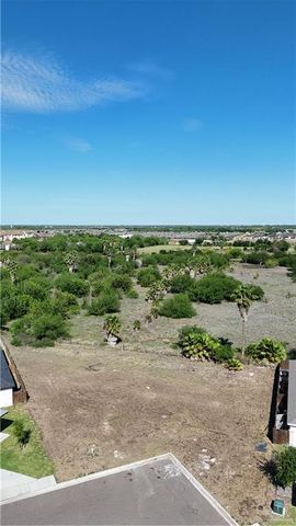 3509 E Zinnia Avenue, Alton, TX 78573
