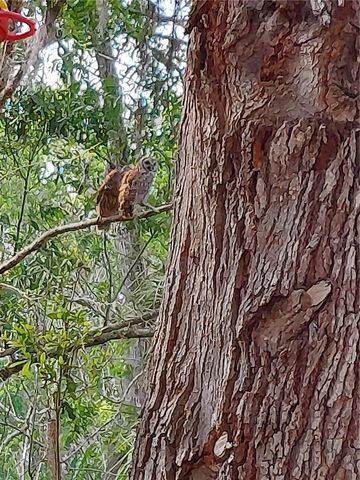 1798 HIDEAWAY LANE, Edgewater, FL 32132