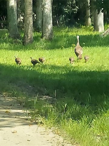 1798 HIDEAWAY LANE, Edgewater, FL 32132